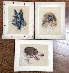 A Series Of 3 Original Antique Canine Themed Pastels, Signed Ria, Possibly Dutch.