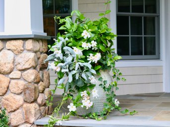 2 Of 2 Very Large Glazed Ceramic Planters With Floral Plantings