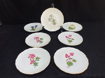 Schumann Arzberg Floral Plates