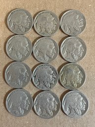 Lot Of 12 Buffalo Nickels