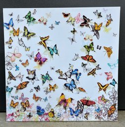 Butterfly Printed Canvas