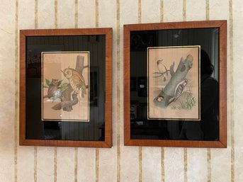 Pair Of Custom Framed Audubon Bird Lithographs - Downy Woodpecker & Mottled Owl