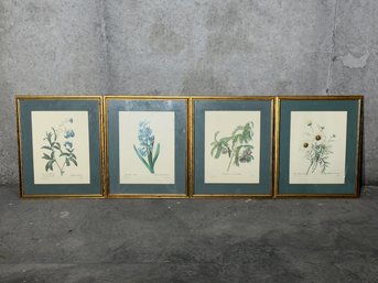 Four Vintage Framed Redoubt Botanical Prints (4)