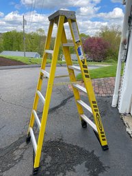 Werner Six Foot Ladder.