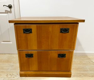 Home Office Business Storage File Cabinet