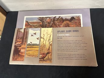 Remington's Portfolio Of Upland Game Birds Of North America -12 Prints  By The Great Artist Bob Kuhn     JDA3