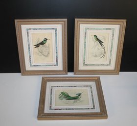 Lovely Set Of Bird Prints