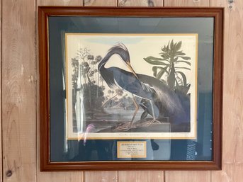 Custom Framed Audubon Print Of A Louisana Heron, Pencil Numbered