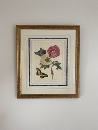 Set Of 4 Botanical Prints Mahogany And Gilt Frames 21   H X 18