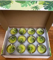 Brand New Box Of Twelve Citronella Oil Scented Candles - Natural Soy