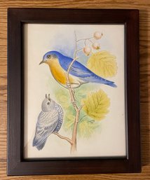 Lovely Antique Bird Drawing Signed And Dated 1892