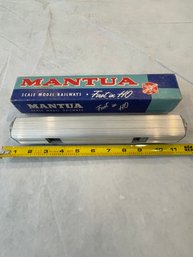 Mantua Train