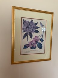 Gold Framed Botanical Print 1