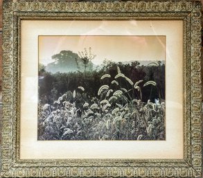 A Vintage Hand Colored Photograph - Wheat Landscape