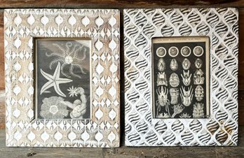 Sea Life Etchings In Whimsical Frames