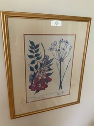 Gold Framed Botanical Print 2