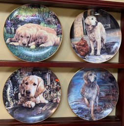 Four Golden Retriever Plates