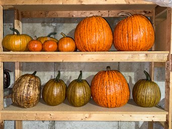 TWO DUDS PAPER MACHE PUMPKINS