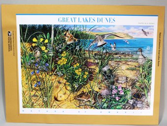 US STAMPS 1ST DAY OF ISSUE SHEET GREAT LAKES DUNES OCT 2, 2008