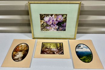 Matted Color Nature Photographs (4)