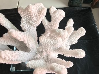 Crystallized Coral , 4 LB  , 11 Inch By 7 Inch, 8 1/2 Inch High