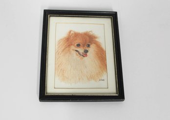 Signed Watercolor By Ede', Titled Toy Pomeranian