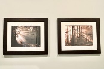 Pair Of Framed Prints Park Forest Scenes