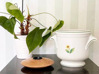 A Cache Pot From Limoges And Live Plant In Planter