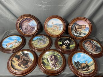 Last Of Their Kind: The Endangered Species By Will Nelson Limited Edition Collector Plates