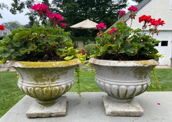 Pair Of Vintage Cement Garden Urns