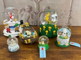 Lot Of Misc Peanuts Snoopy Charlie Brown Snow Globes In Various Sizes