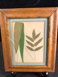 Framed Foliage Print