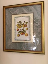 Botanical Fruit Print