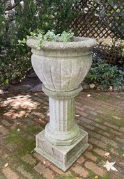 Vintage Concrete Planter On Column Base