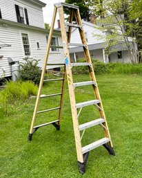An 8' Aluminum And Industrial Plastic Ladder