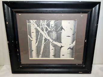 Jack Mesick Print Of Great Horned Owl Among Birches