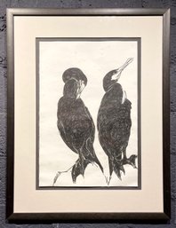 Provincetown Artist Pat Degroot Original Marker Sketch Titled Cormorants - From Ellen Trout Collection