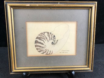 'CHAMBERED NAUTILUS' Framed Art