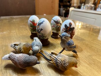 Eggs And Birds