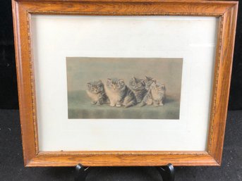 HHC Signed Kitten Art