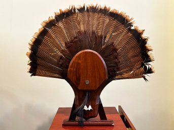 A Modern Collection Of Turkey Feathers, Mounted For Shoot Trophy