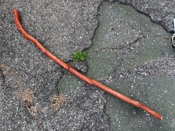 A Vintage Stalking Stick