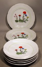 Lot 7 Fine Limoges Porcelain Plates Various Sizes W Flowers