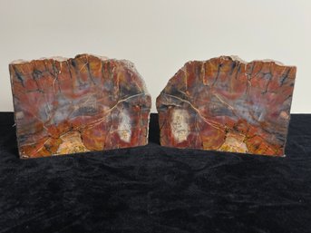Pair Of Petrified Wood Bookends
