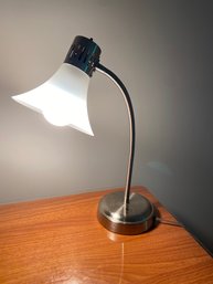 Arcadia Collection Metal Gooseneck Desk Lamp 18'