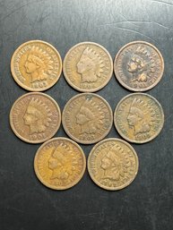 8 Indian Head Pennies