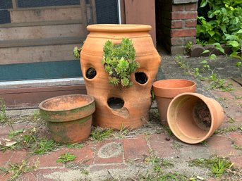 An Assortment Of Terracotta Planters, One With Hens & Chicks!