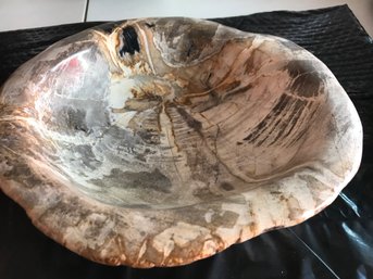 Deep Petrified Wood Bowl   6 LB 5 Oz, 11inch By 10 Inch