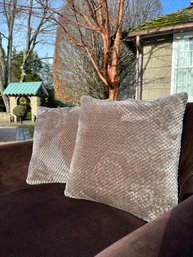 A Pair Of Grey Super Soft Micro-fiber Velour Pillows