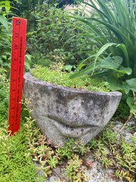 Half Face Head Cement Planter 12x6 With Flowers